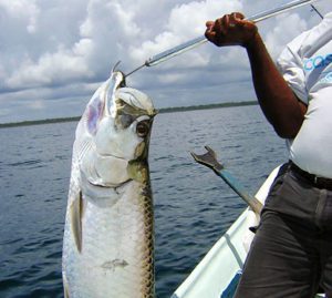 • Boat ride at the ocean on a fisherman boat