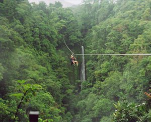 Zip line beach house